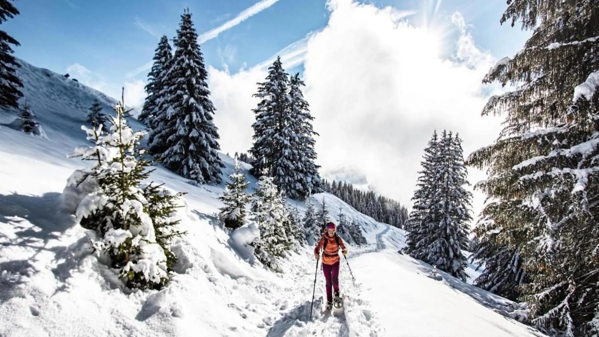 Alpage apartment for 5 people Chatel